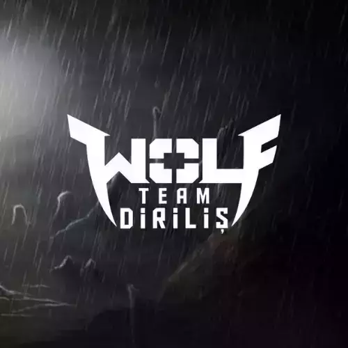 WolfTeam 100.000 Joy Para  ( 45.000 Wolfteam Nakit)