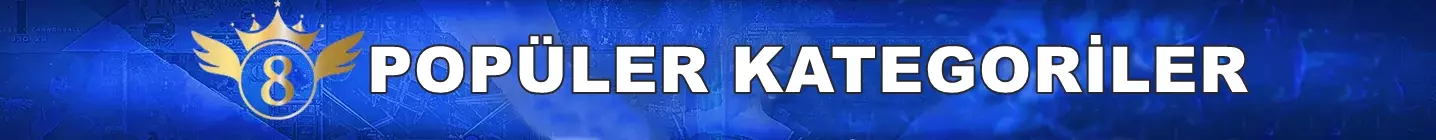 POPÜLER KATEGORİLER