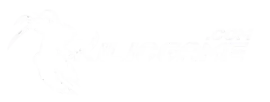 kilicgame Admin