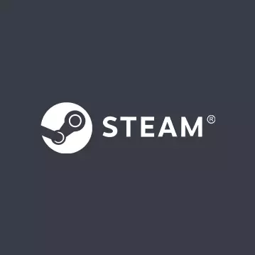 steam