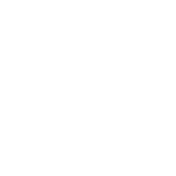 PUBG New State