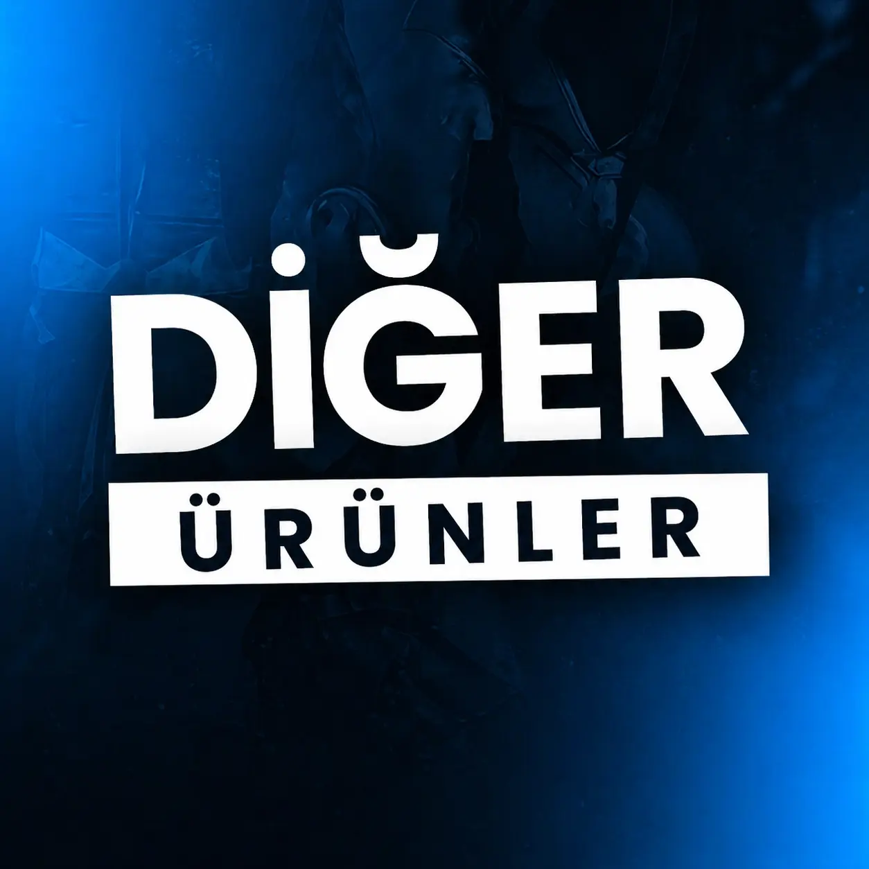 Diğer Ürünler