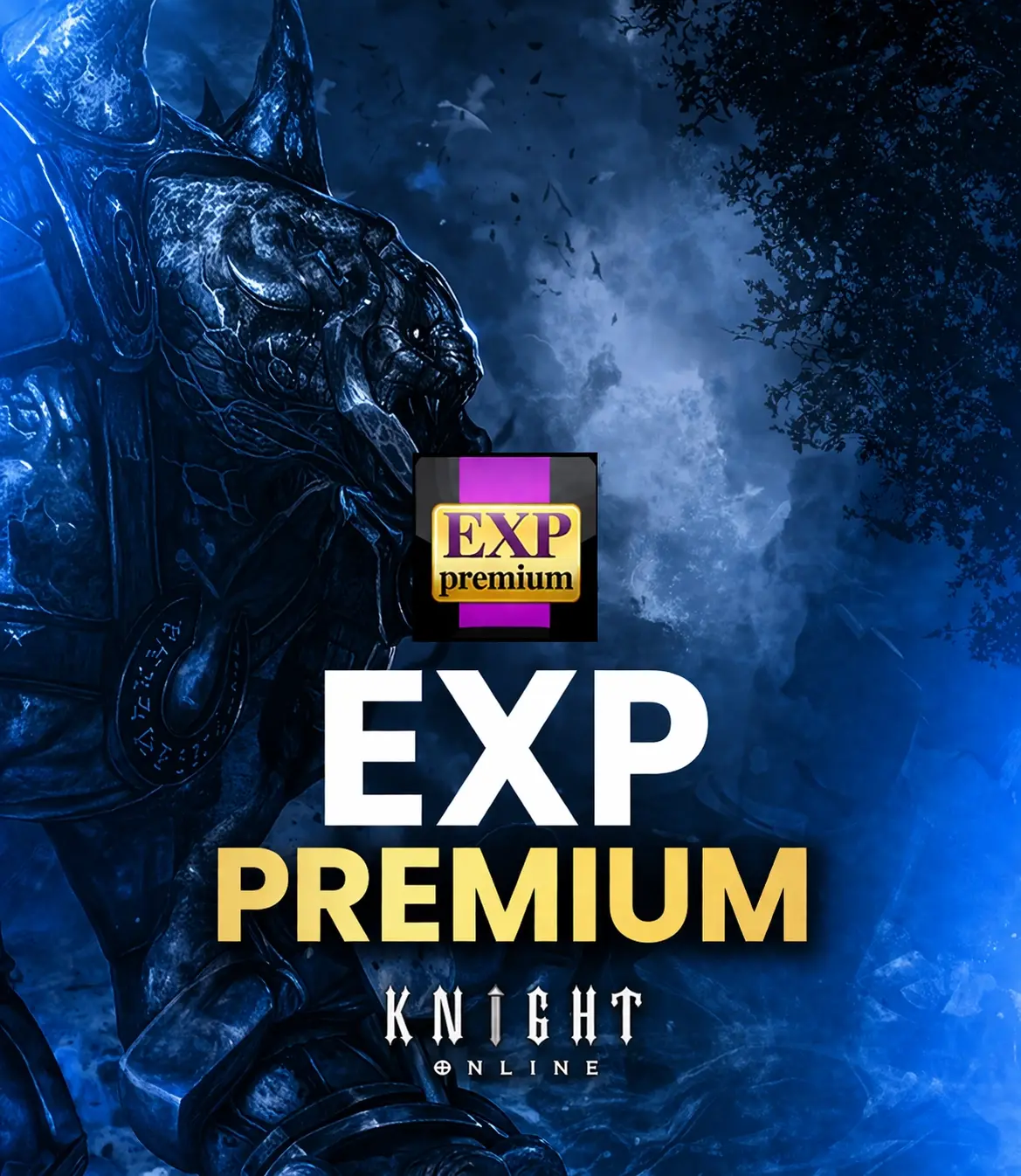Knight Online Exp Premium
