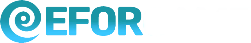 EFORGAME