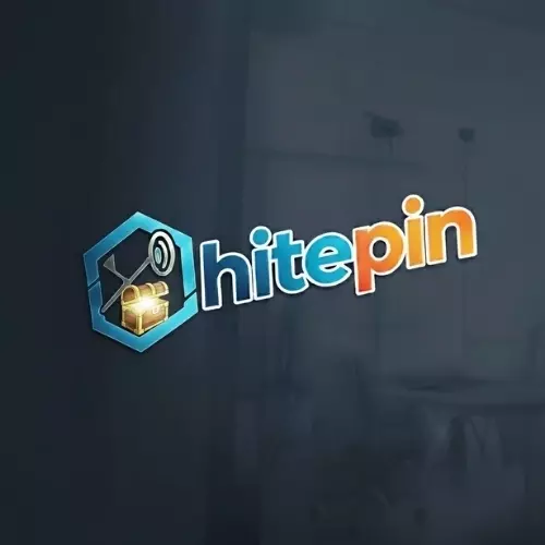 HitE-Pin