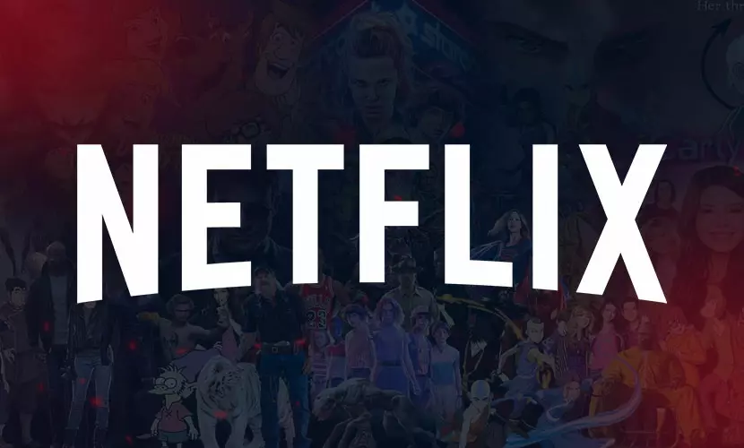 Netflix Hediye Kartı TL