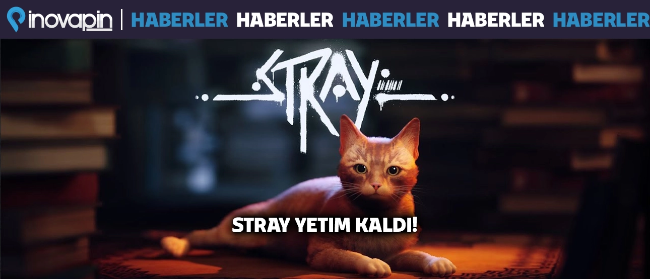 Stray Yetim Kaldı!
