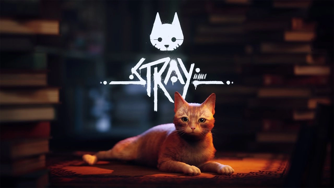 Stray Yetim Kaldı! Stray Yetim Kaldı!