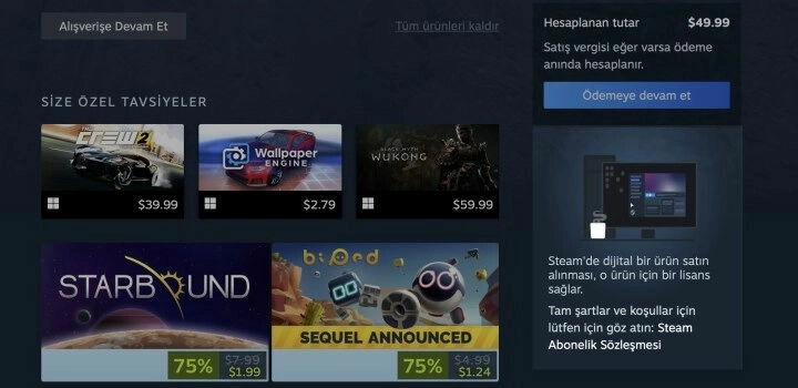 Steam’den Oyun Satın Alanlar Dikkat! Artık Sadece Lisans Alıyorsunuz!