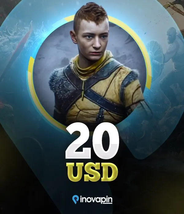 20 USD Psn Gift Card