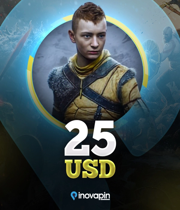 25 USD Psn Gift Card