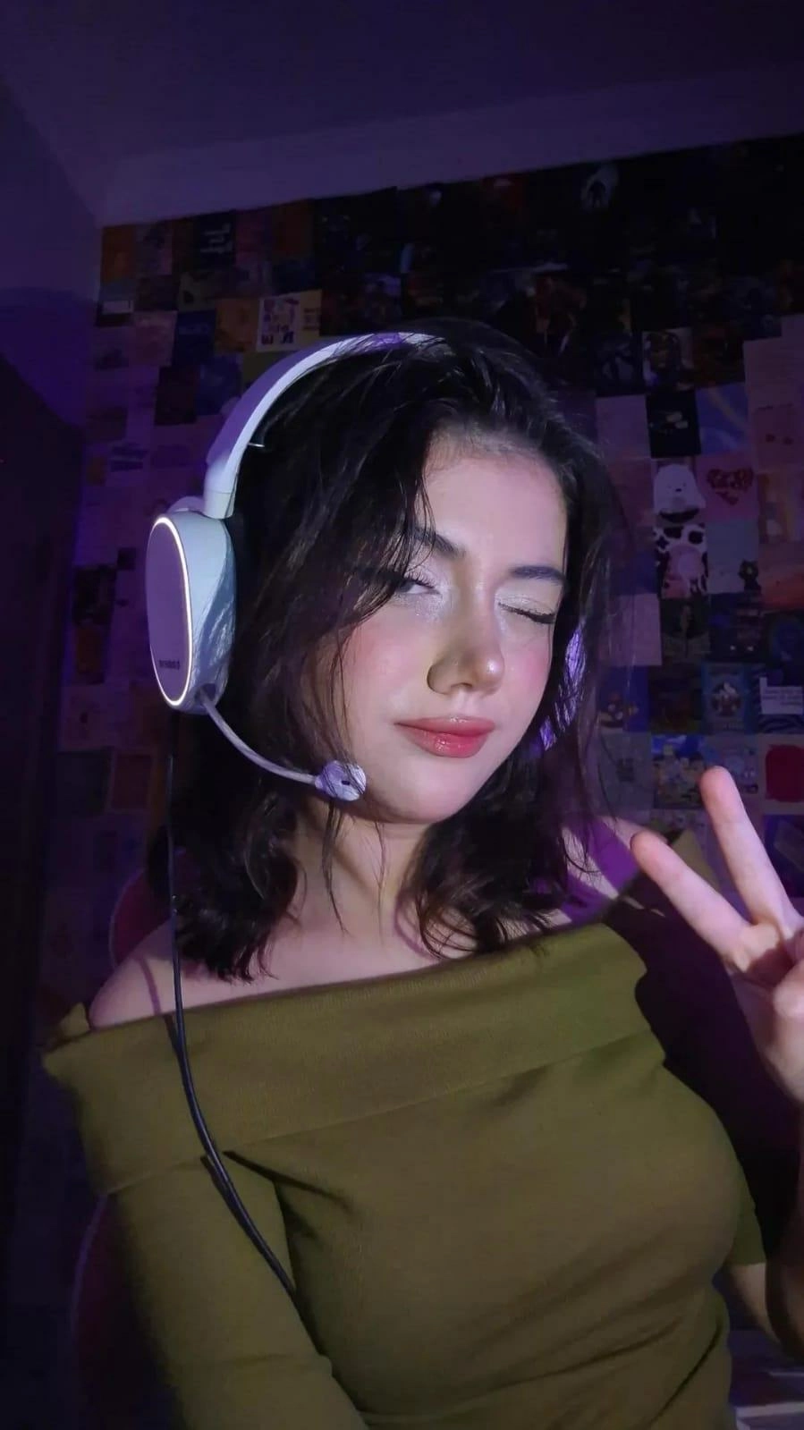 streamerhouse