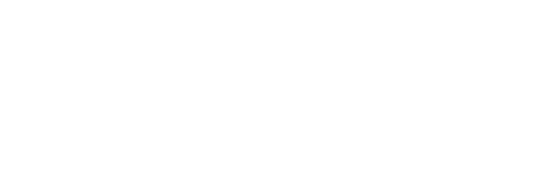 Rise Mobile