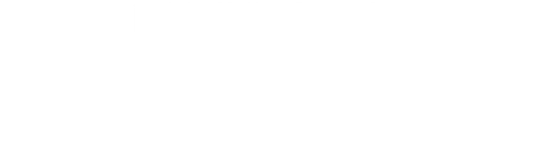 Steam