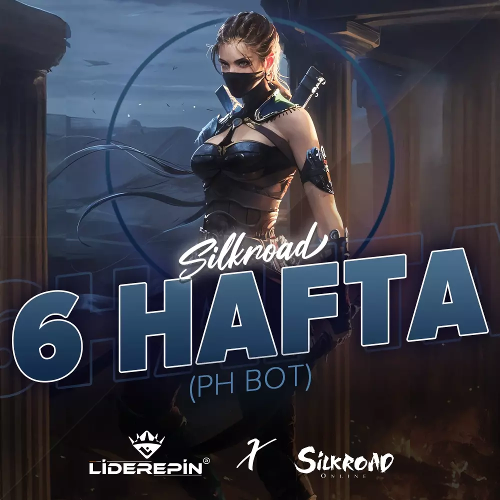 Silkroad phBot 6 Hafta