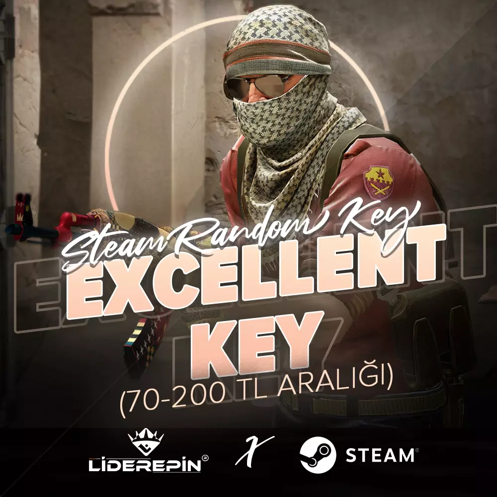Steam EXCELLENT Key
