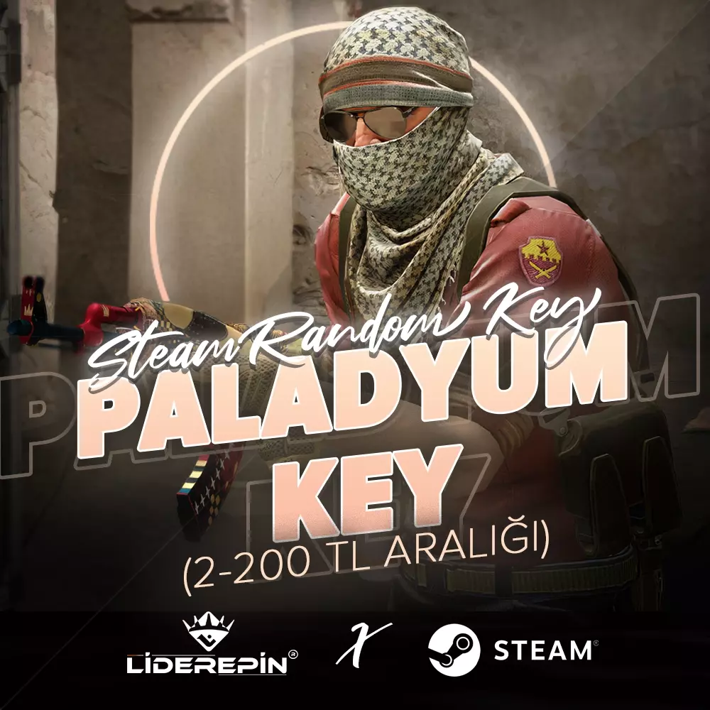 Steam PALADYUM Key