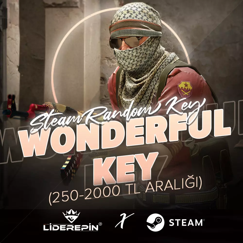 Steam WONDERFUL Key