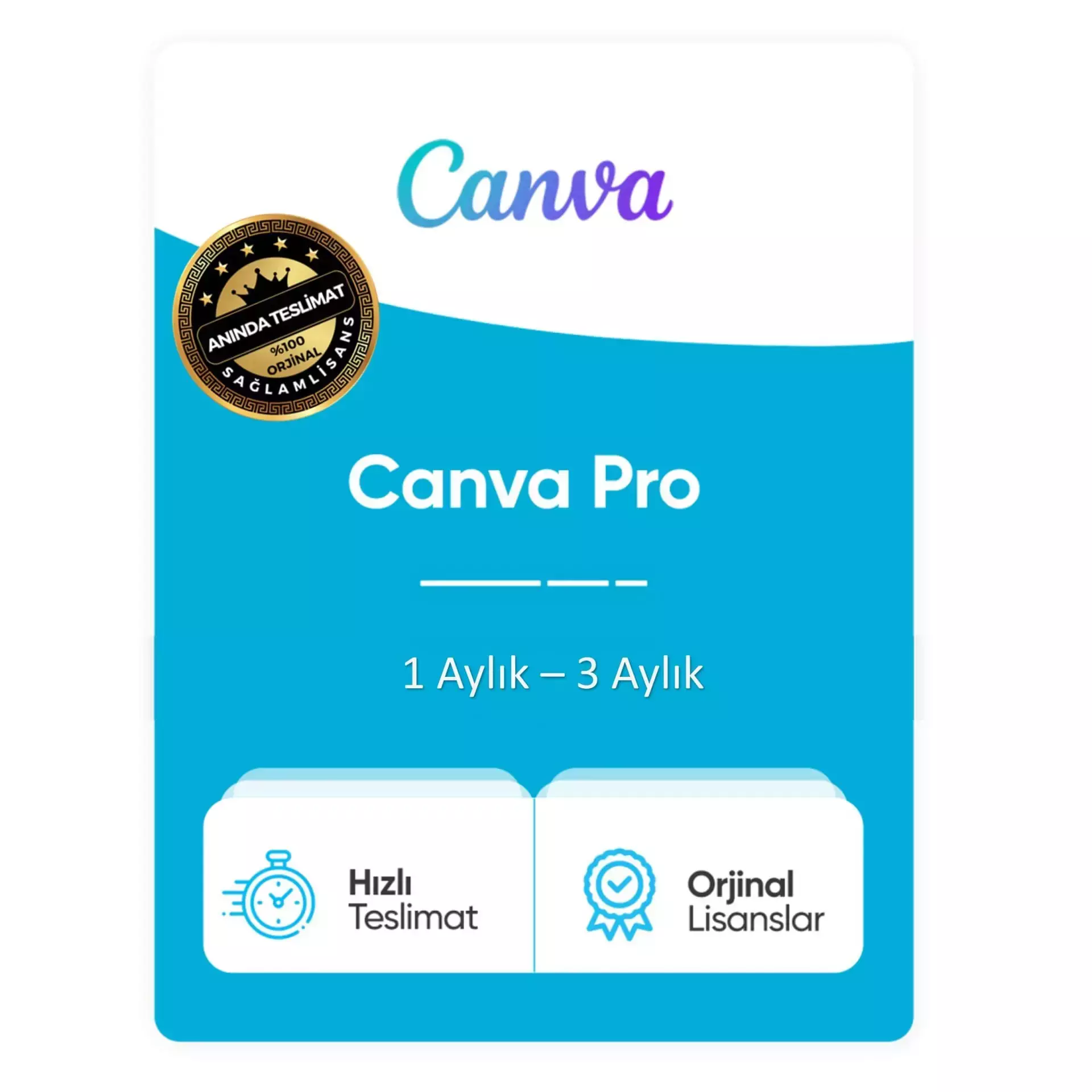 Canva Pro (1 Ay)