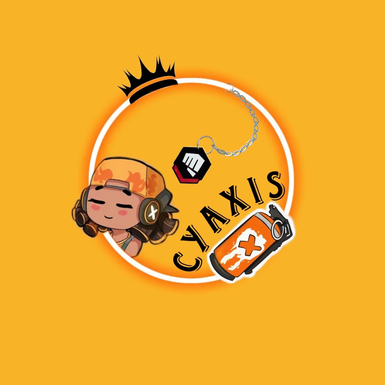 streamerhouse