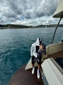 Bape Koleksiyonu Black and White Serisi Hoodie