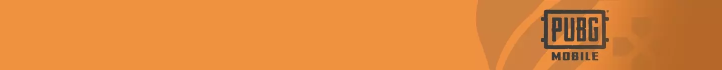 PUBG Mobile TR