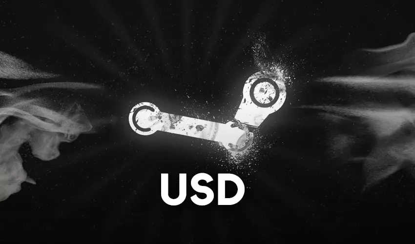 Steam USD