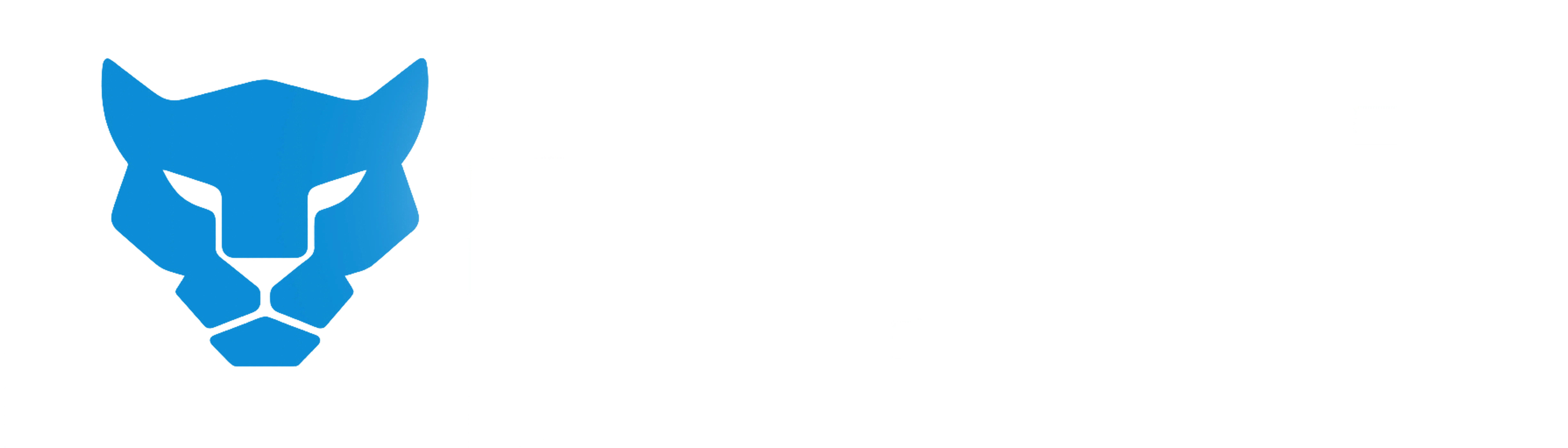 mayapin