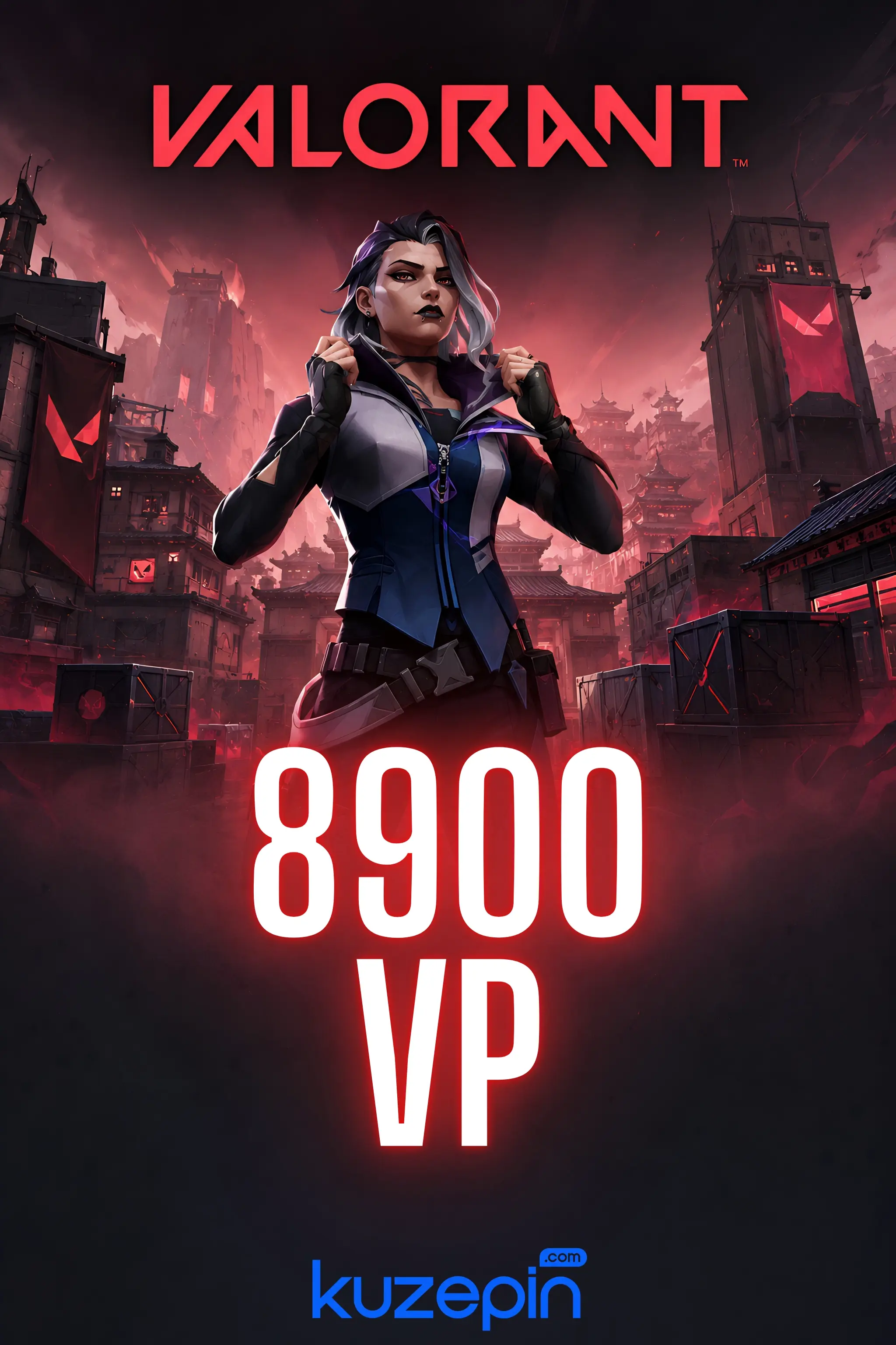 Valorant 8900 VP