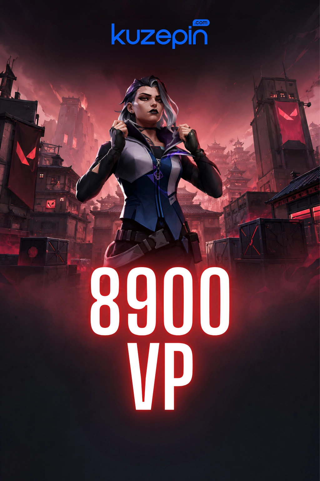 Valorant 8900 VP