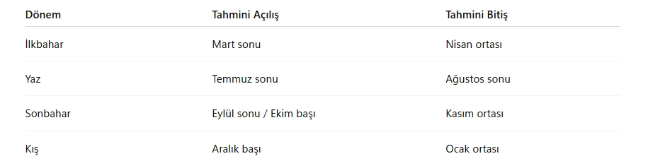 LoL Sana Özel Mağaza Ne Zaman Gelecek? 2025 Güncel Rehber