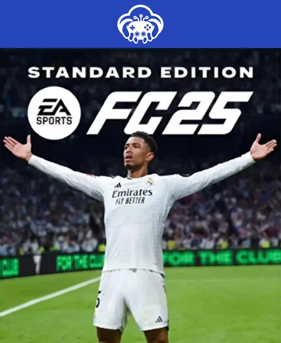 EA SPORTS FC 25 FİFA PC