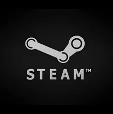 Steam