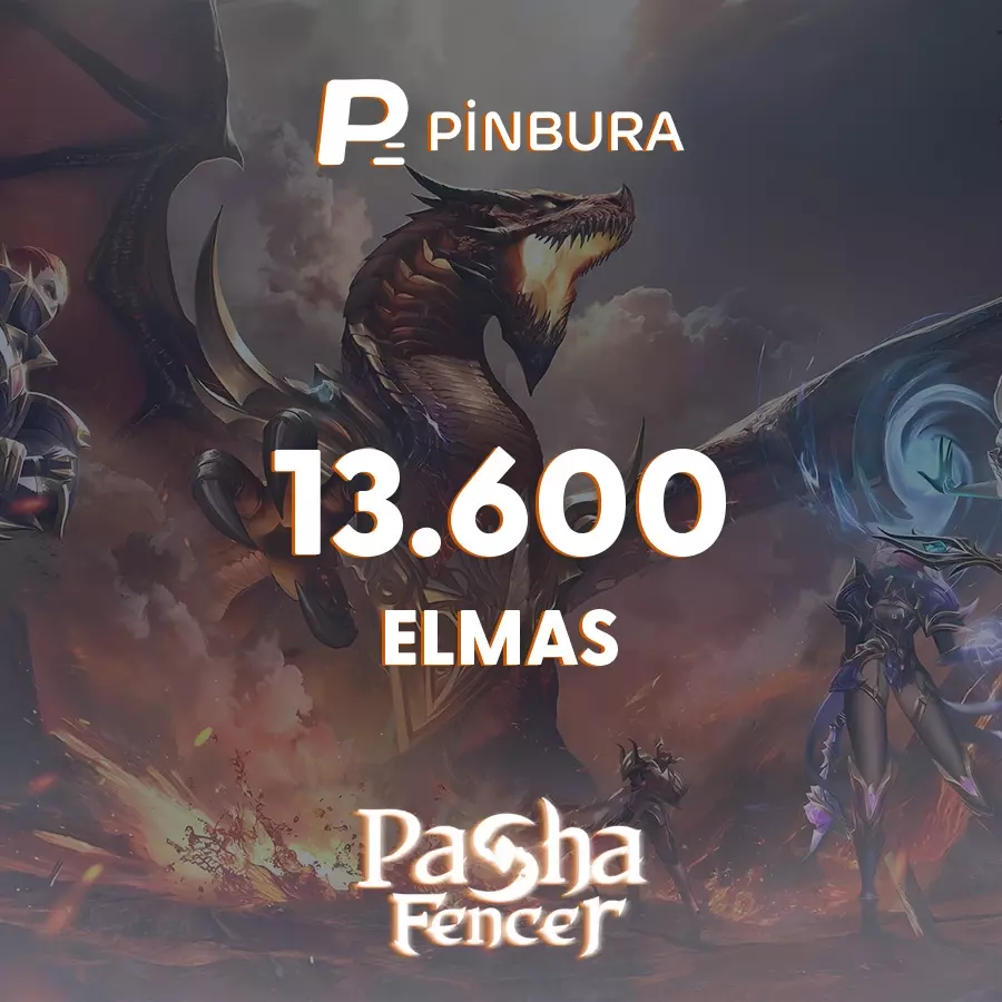 Pasha Fencer 13600 Elmas
