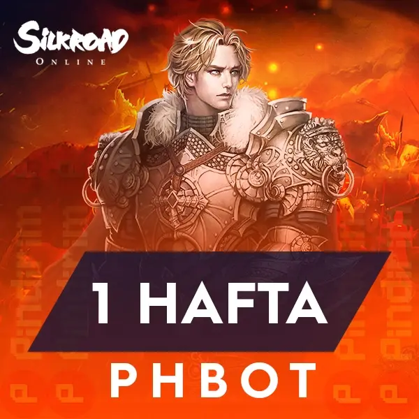 Silkroad phBot 1 Hafta