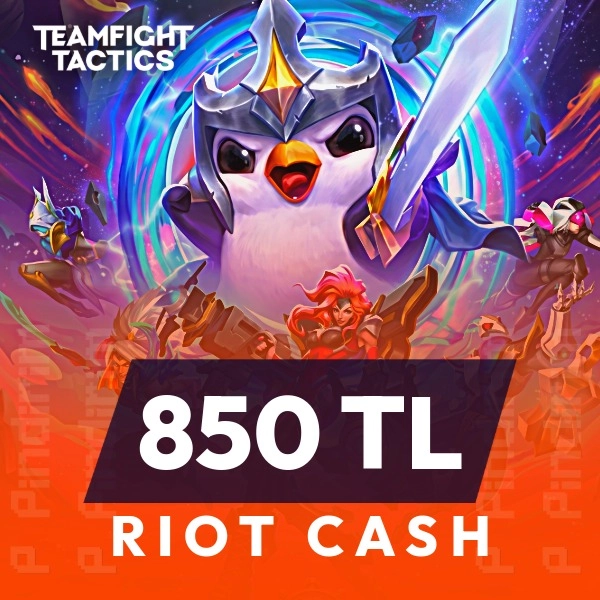 TFT 850 TL Riot Cash