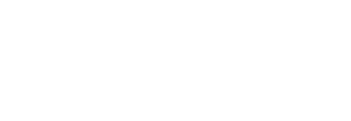Silkroad Online
