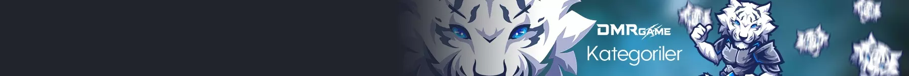 Başlıca Kategoriler