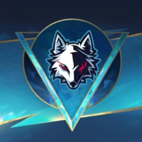 Mobile Legends Bang Bang Onaylı Ekip