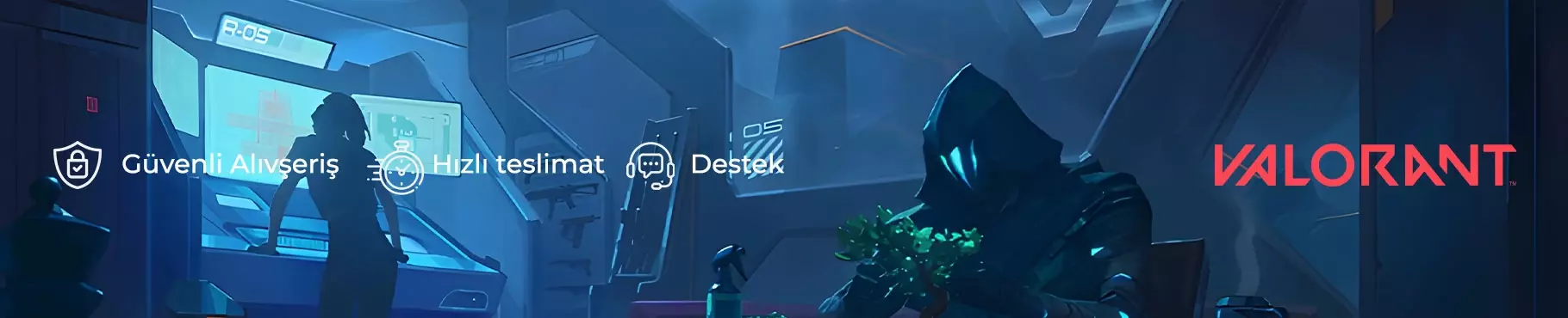 Valorant Points (VP) TR Valorant Points (VP) TR