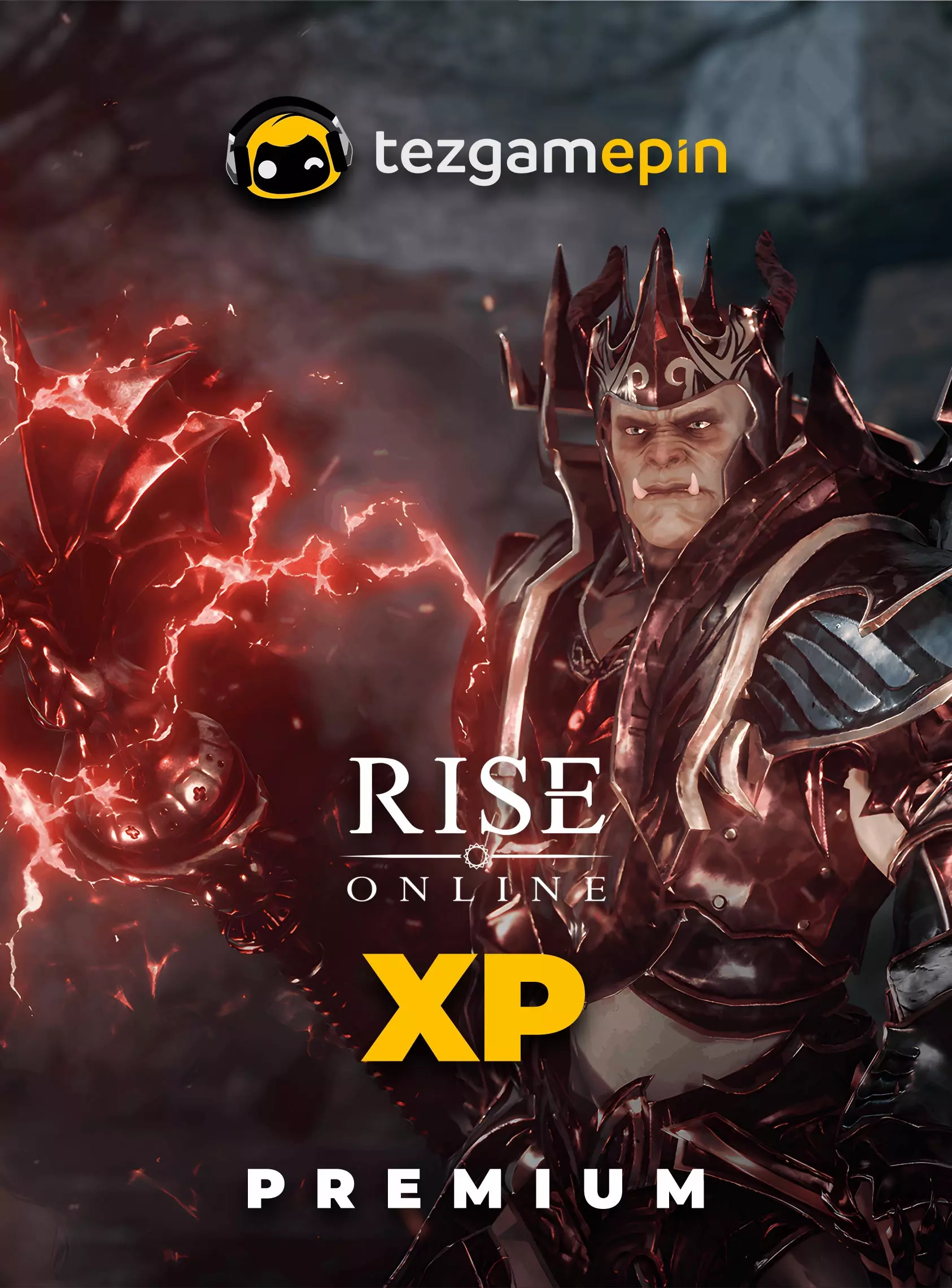 Rise Online XP Premium