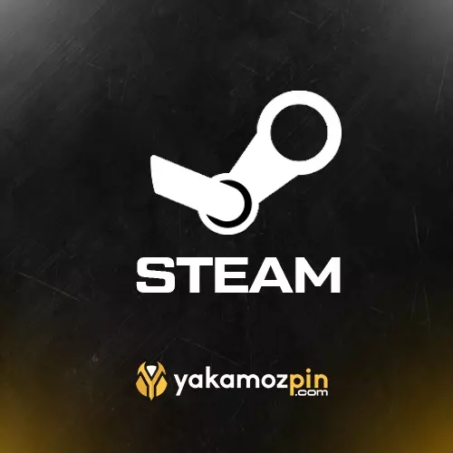 Steam