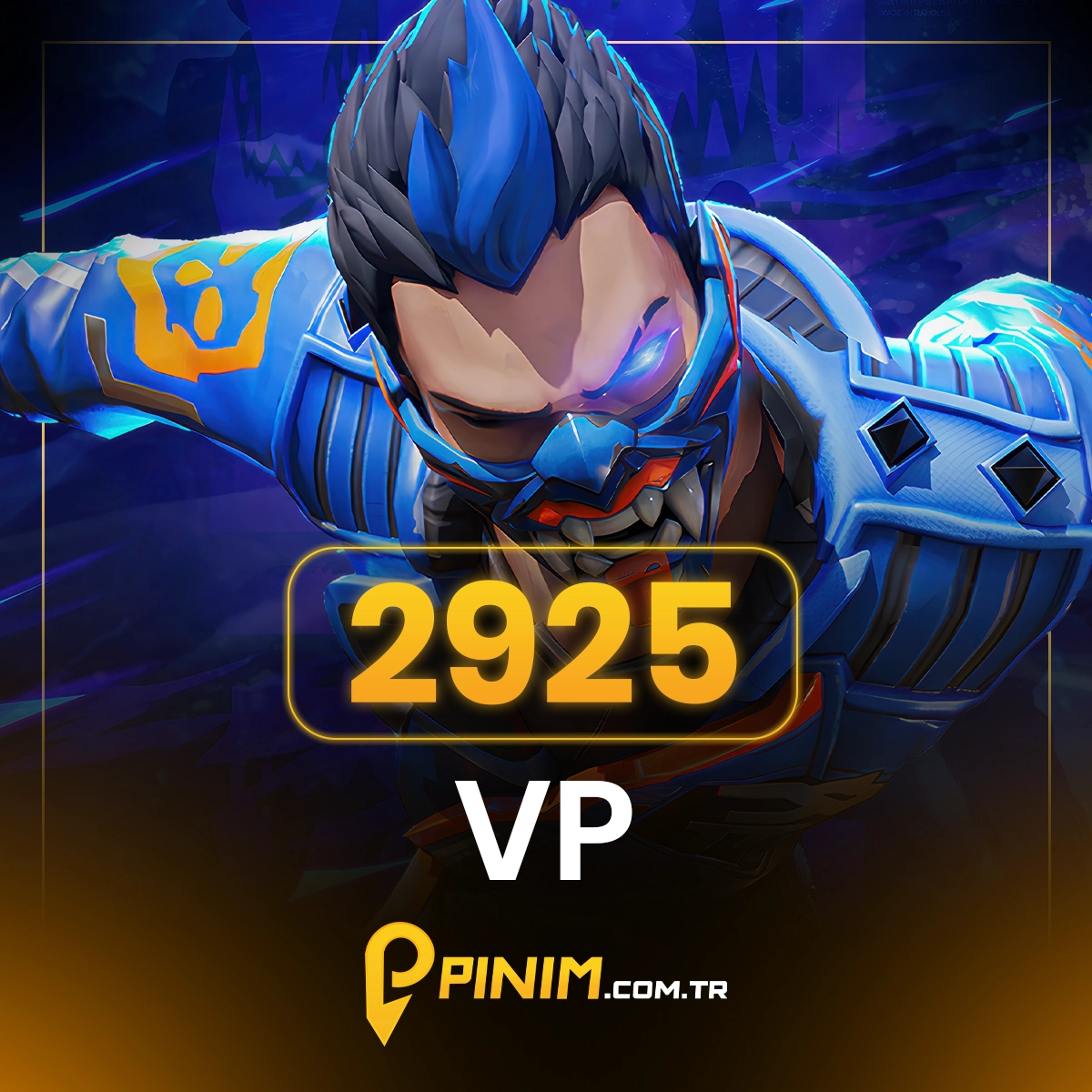 Valorant 2925 VP