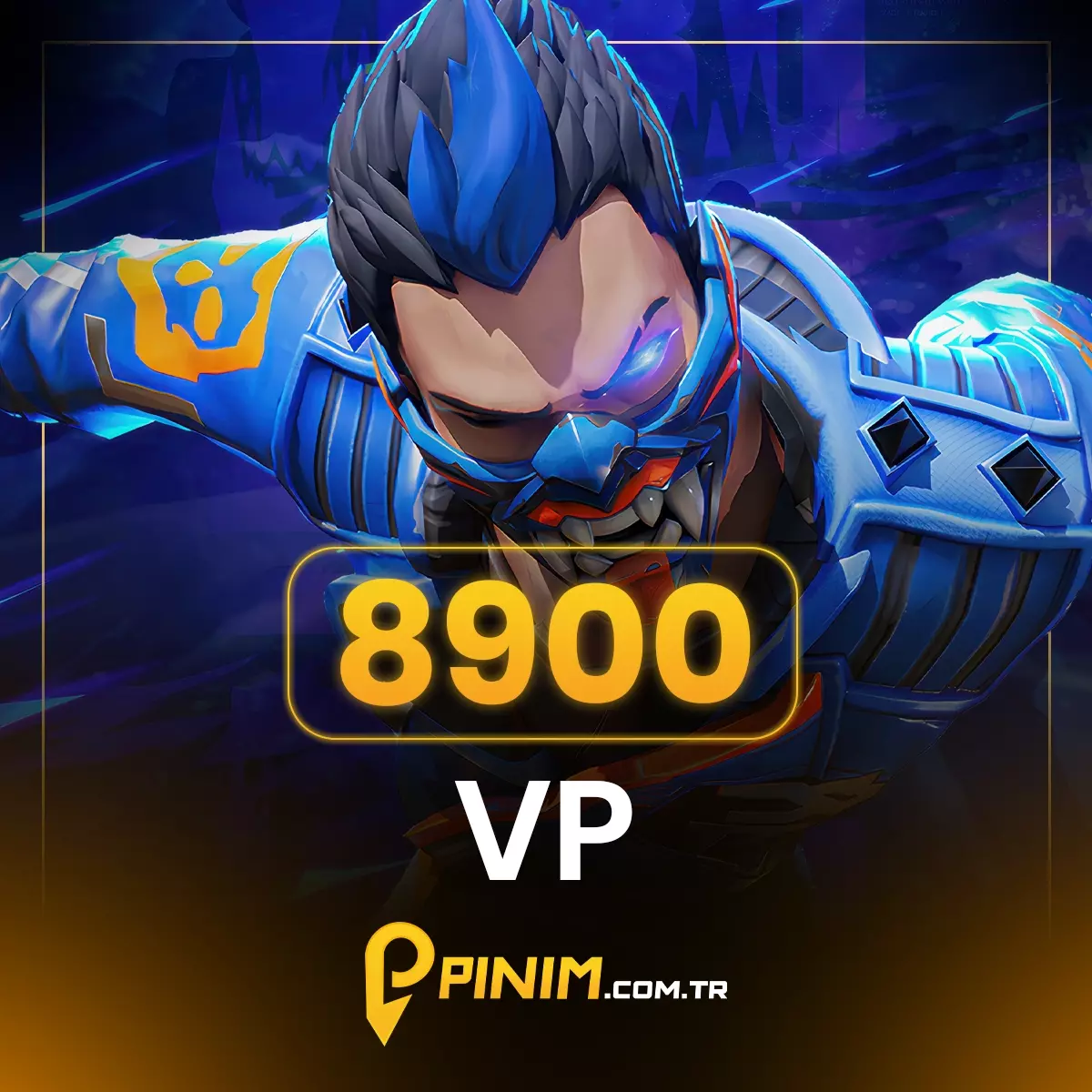 Valorant 8900 VP