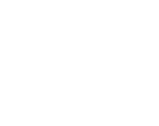 PCi DSS