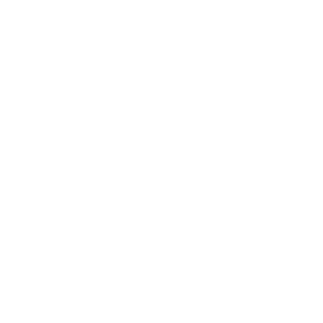 Steam